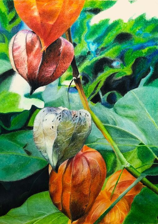 Gemalte Bilder von Petra Leimann ( Acryl / Öl / Pastell )
