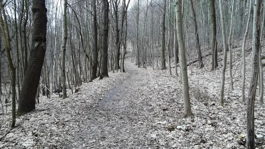 Murellenschlucht