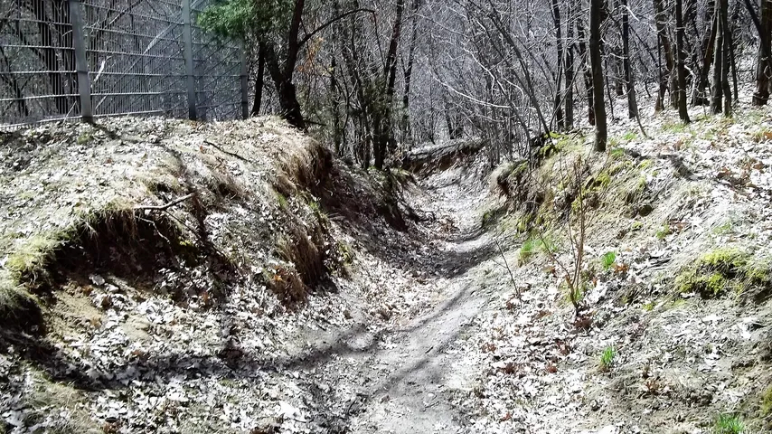In der Murellenschlucht
