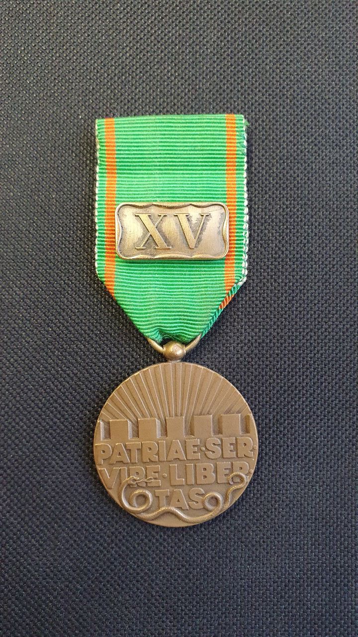 army volonteer medal