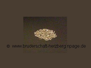 Iridium - Foto der Bruderschaft Herzberg