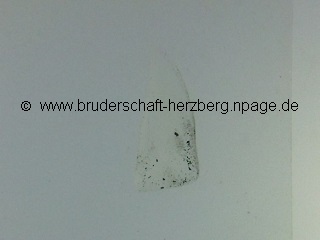 Mondgestein - Mondprobe Luna 16 - Foto von der Bruderschaft Herzberg