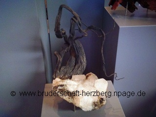 Silber - Foto von der Bruderschaft Herzberg
