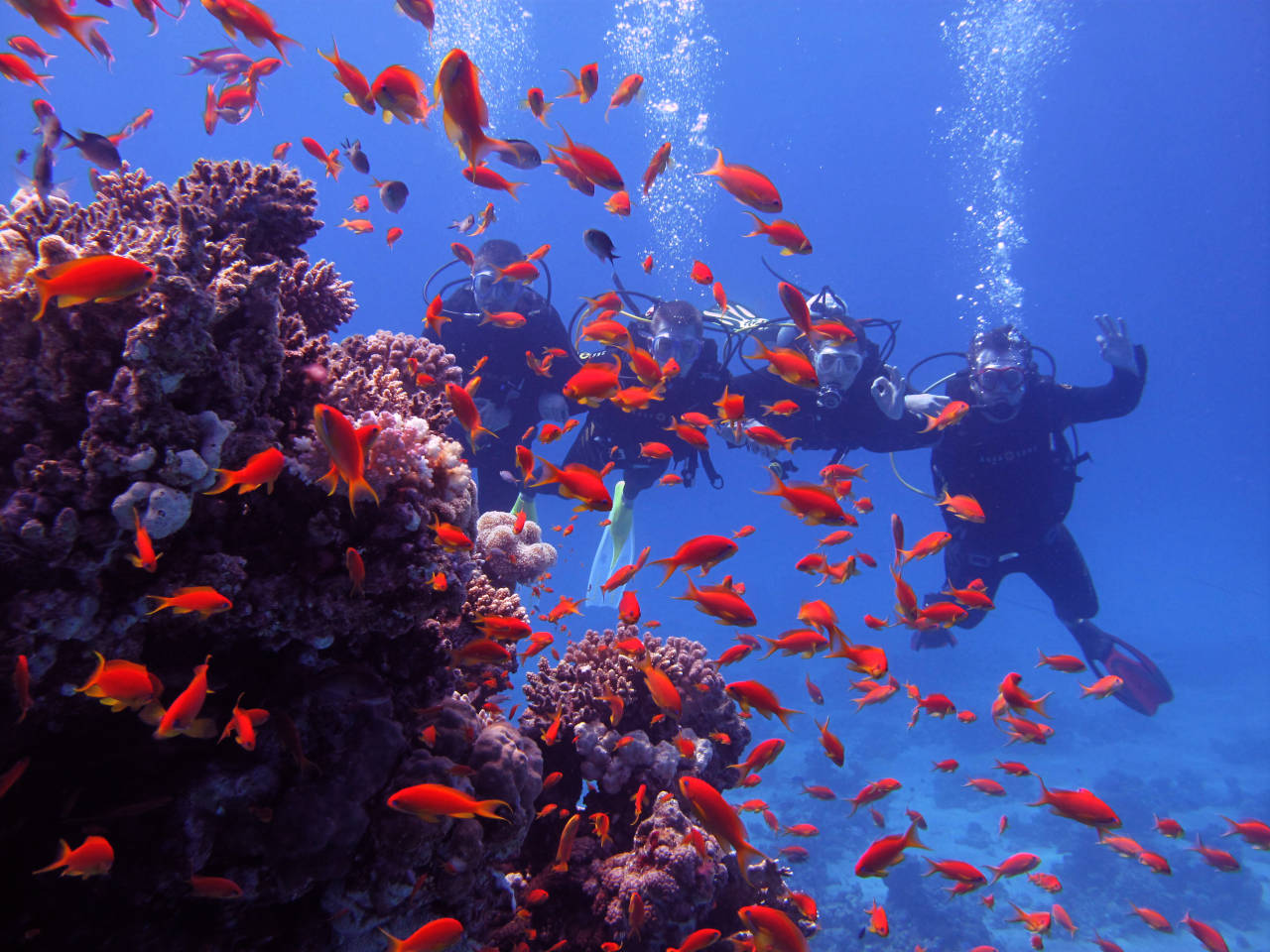 Diving Course Hurghada Diving Hurghada Egypt Divers Hurghada