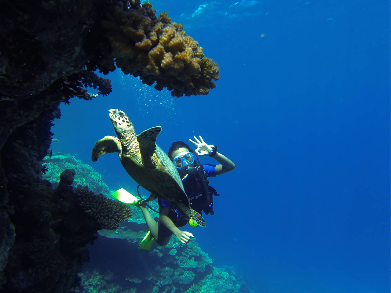 Diving Course In Hurghada Scuba Diving Hurghada Divershurghada