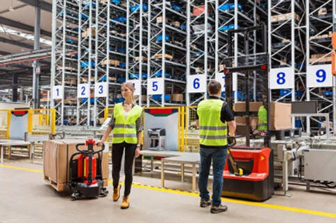 Three Various Pallet Lift Kind Three Various Pallet Lift Kind