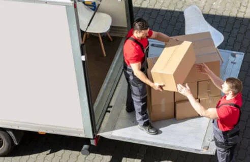 A Nice Bundle Transport Organization Should Have