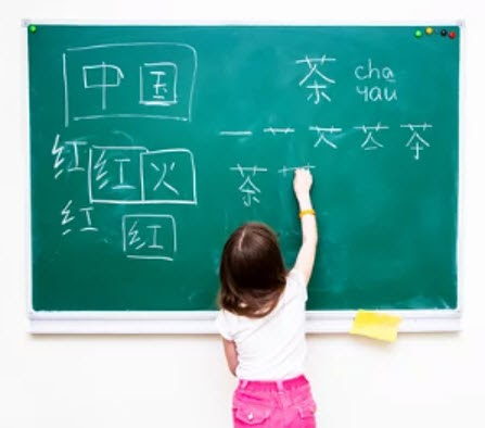 The Absolute Manual for Getting Extraordinary Chinese Tuition The Absolute Manual for Getting Extraordinary Chinese Tuition