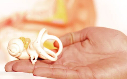 Brilliant Hearing Clinics and Ear Experts in Singapore: Your 2024 Companion Brilliant Hearing Clinics and Ear Experts in Singapore: Your 2024 Companion
