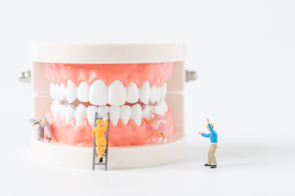 Singapore's Heartland: Clementi, Your Dependable Dental Master