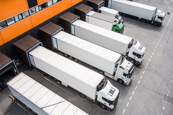 Strategic Logistics Management for Regional Trade Networks