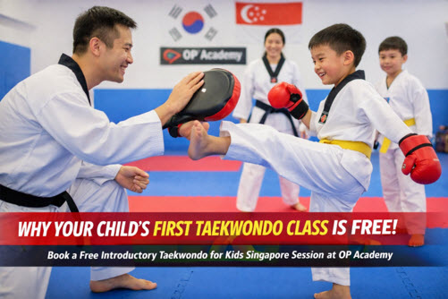 Elevate Your Physical Health with Martial Arts Training