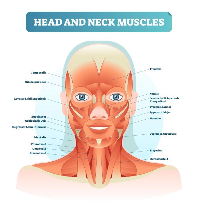 Clinical Solutions for Head and Neck Health in Singapore