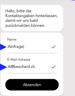 chatten fülle das formular so aus_edited