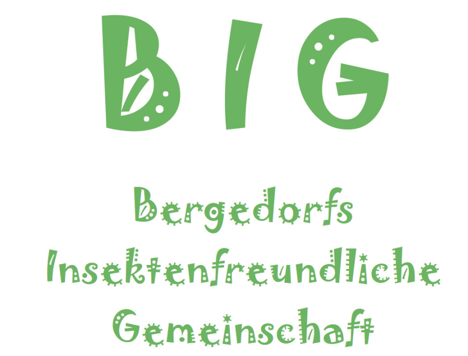 BIG-Bergedorf BIG-Bergedorf