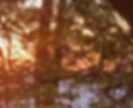 Screenshot 2026-05-16 161153.jpg