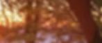 Screenshot 2026-05-16 161209.jpg