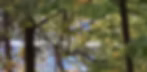 Screenshot 2026-05-16 161239.jpg