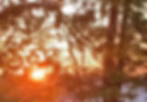 Screenshot 2026-05-16 161131.jpg