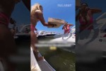 Video - Pizzalieferung per Boot